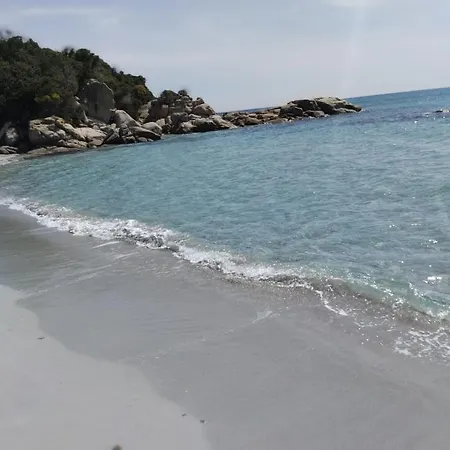 Gioja * 콰르투 산텔레나